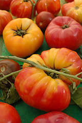 Image showing Heirloom Tomatos