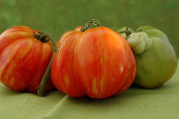 Image showing Heirloom Tomatos