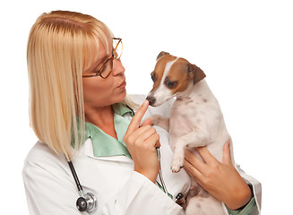 Image showing Attractive Female Doctor Veterinarian with Small Puppy