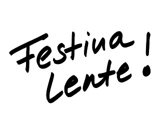 Image showing festina lente