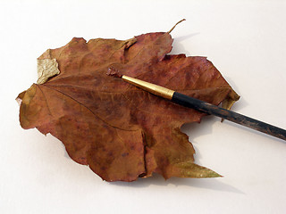 Image showing autumn