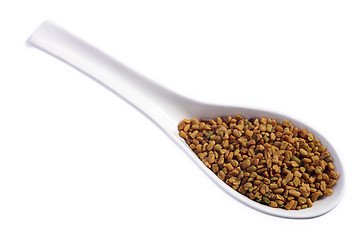 Image showing Fenugreek seeds