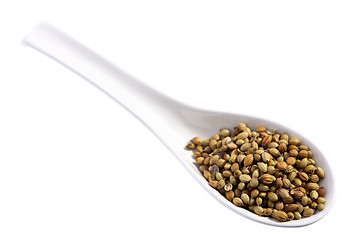 Image showing Coriander on a spoon