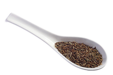 Image showing Cumin seeds on a spoon