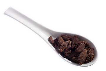 Image showing Black cardamom on a spoon