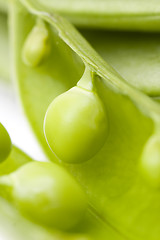 Image showing fresh peas on white background