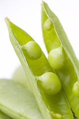 Image showing fresh peas on white background