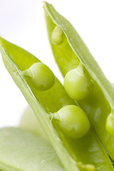 Image showing fresh peas on white background