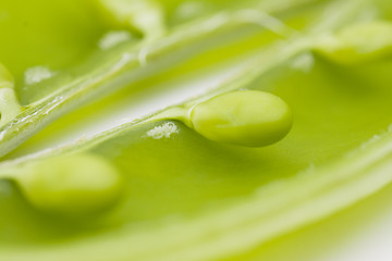 Image showing fresh peas on white background