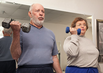 Image showing Senior Adult Couple Working Out