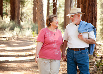 Image showing Loving Senior Couple Walking Together