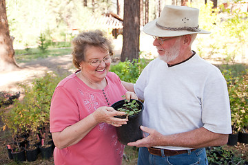 Image showing Attractive Senior Couple Overlooking Potted Plants