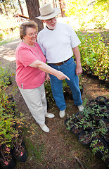 Image showing Attractive Senior Couple Overlooking Potted Plants