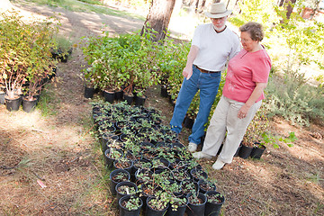 Image showing Attractive Senior Couple Overlooking Potted Plants