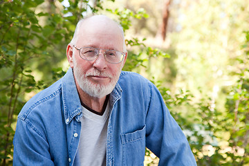 Image showing Handsome Senior Man Portrait