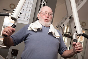 Image showing Senior Adult Man in the Gym