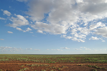 Image showing desert after rain