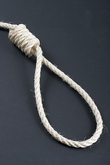 Image showing Hangman Noose