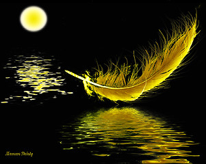 Image showing moonlight feather