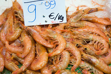 Image showing Shrimp at the market