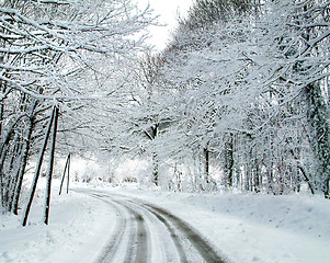 Image showing forest road in winter