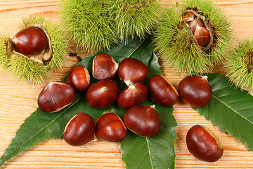 Image showing Chestnuts.