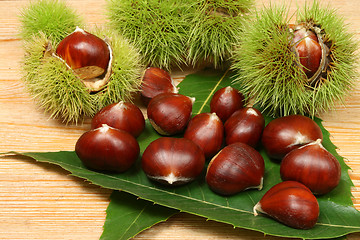 Image showing Chestnuts.