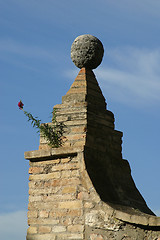 Image showing Flower on the church