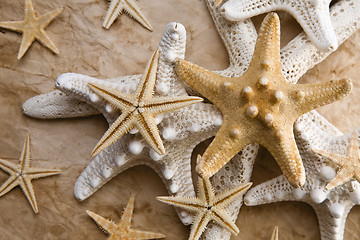 Image showing Starfish on Old Paper