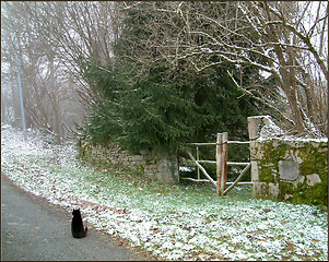 Image showing misty winter morning