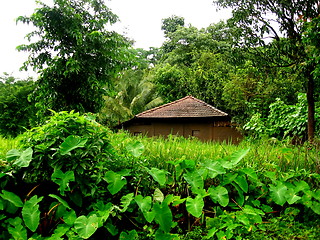 Image showing Lonely village hut