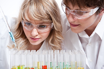 Image showing Working scientists