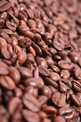 Image showing Coffee Beans