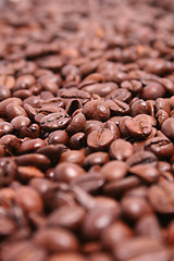 Image showing Coffee Beans