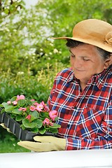 Image showing Senior woman - gardening