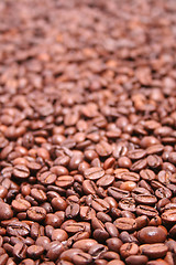 Image showing Coffee Beans