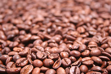 Image showing Coffee Beans