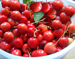 Image showing life's a bowl of cherries