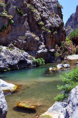 Image showing Preveli river