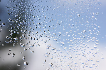 Image showing Rain Drops on Window