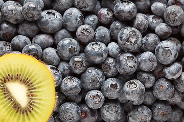 Image showing Macro Kiwi and Blueberries