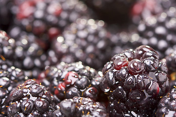 Image showing Macro Blackberries with Water Drops