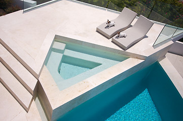 Image showing JRTs Enjoying Custom Luxury Pool