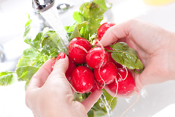 Image showing Woman Washing Radish