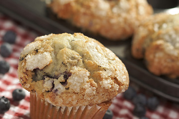 Image showing Fresh Blueberry Muffins