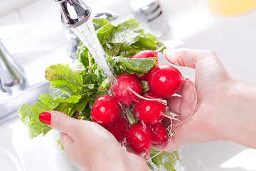 Image showing Woman Washing Radish