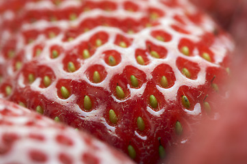 Image showing Macro of Strawberry