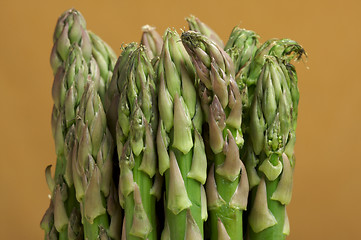 Image showing Fresh Organic Asperagus