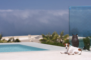 Image showing Storm Watch from Poolside