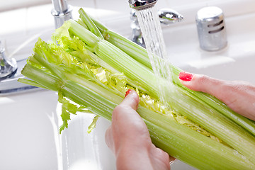 Image showing Woman Washing Celery